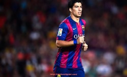 世俱杯直播-德国篮球联赛中德甲篮球球队概况介绍,足球之外的精彩世界