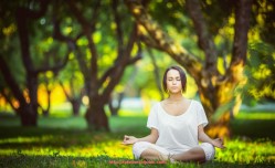 世俱杯直播-杨晨效力德甲时所在球队详细信息