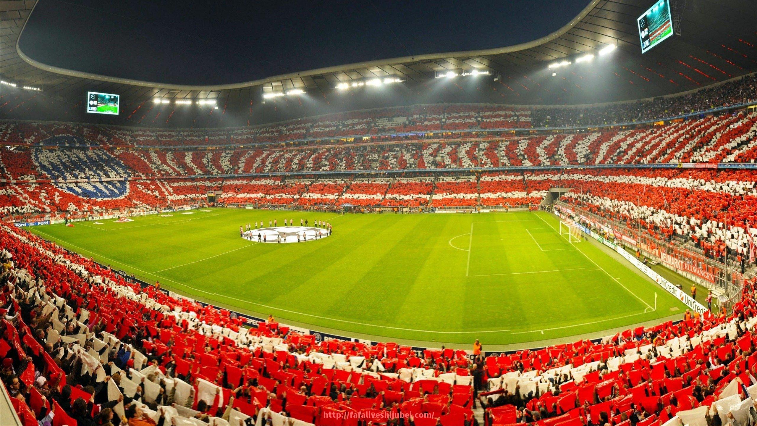 世俱杯直播-手臂训练专用健身器材图片及介绍